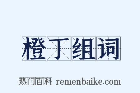 橙丁组词是什么意思的图片